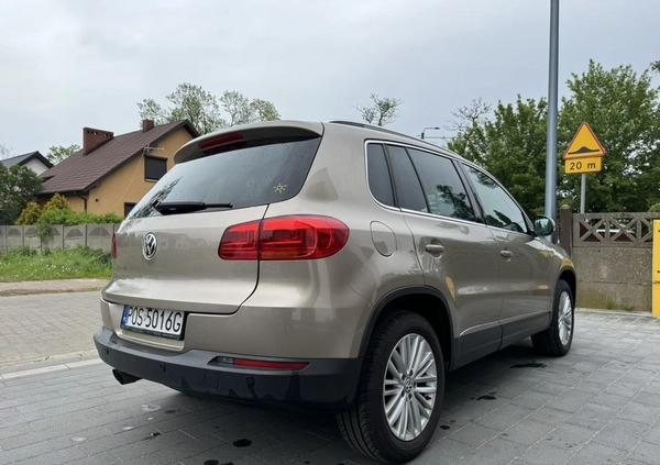 Volkswagen Tiguan cena 57900 przebieg: 172500, rok produkcji 2013 z Odolanów małe 37